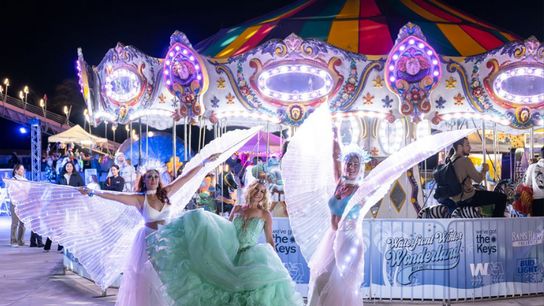 Winter Wonderland Opens - Though DEC 28th! Truman Waterfront Park (events)