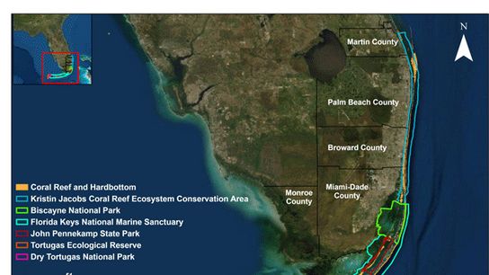 The Coral Reefs of the Florida Keys (Water and Fishing)