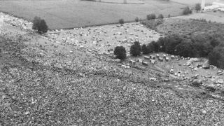 Woodstock Music Festival - 55 Years Ago (Arts and Music)