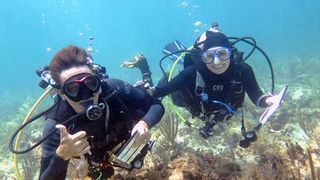 The Power of the Public: Volunteer Scuba Divers Produce Decades of Fish Data  (News)