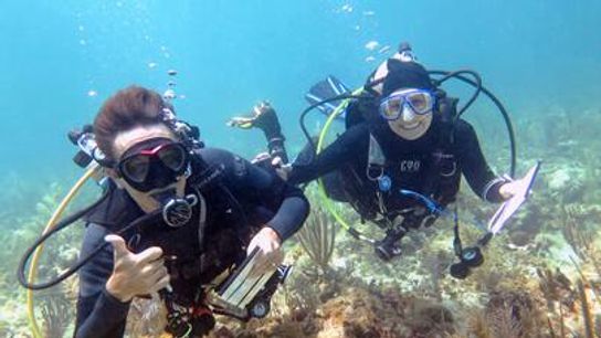 The Power of the Public: Volunteer Scuba Divers Produce Decades of Fish Data  (News)