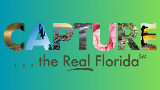 Florida State Parks Launches 2024 Photo Contest (Arts and Music)